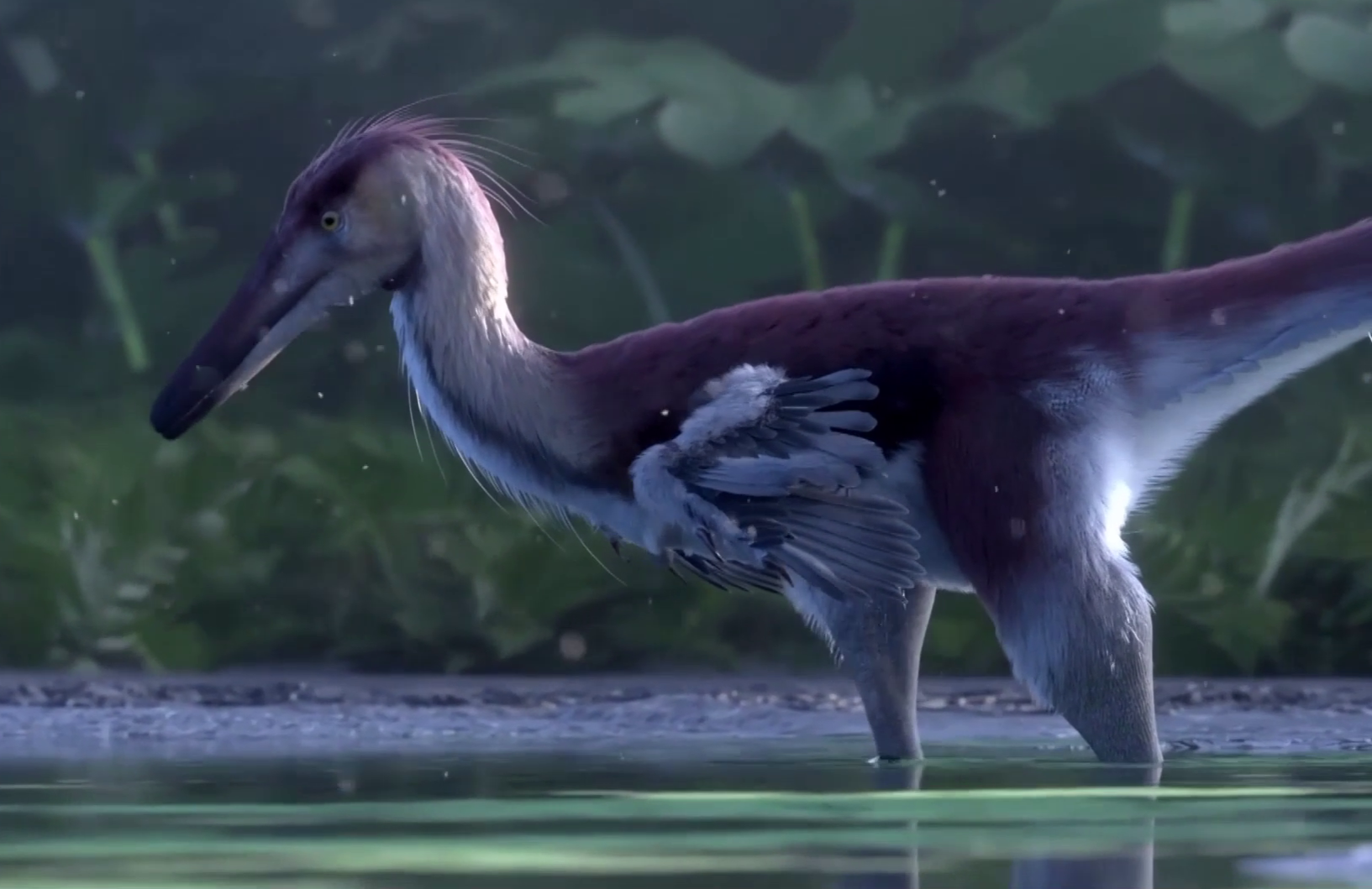 70-million-year-old  raptor-like dinosaur  discovered in Argentina: Video