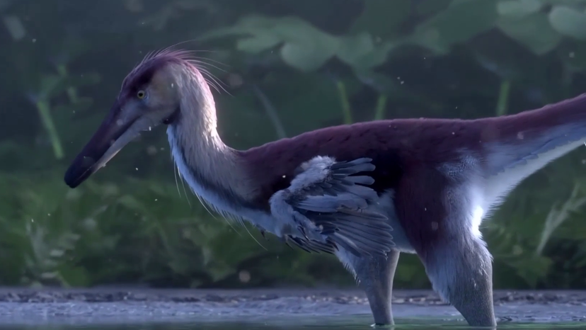 70-million-year-old raptor-like dinosaur discovered in Argentina: Video