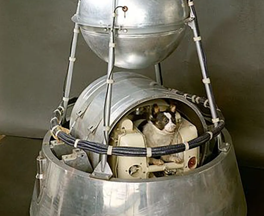 Laika first space dog