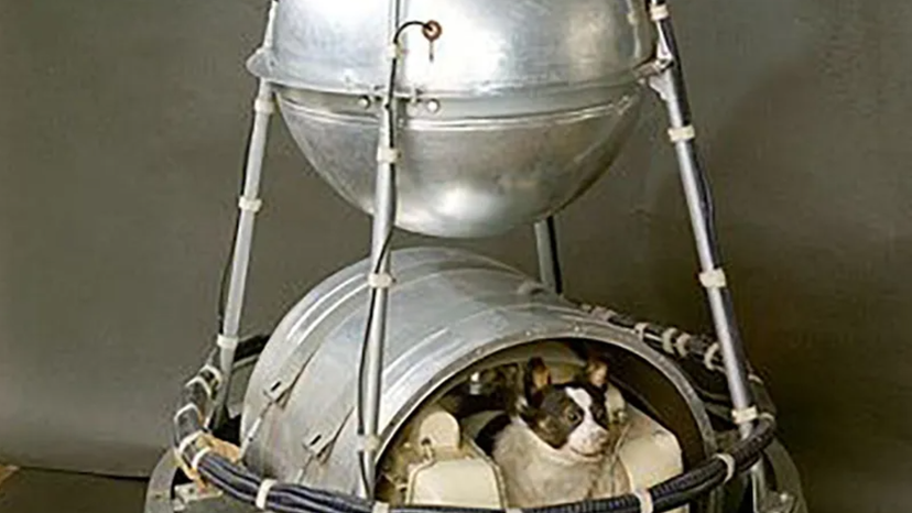 Laika first space dog