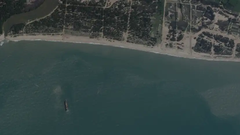 FILE PHOTO: A satellite image taken by Planet Labs shows deck cargo ships, loaded with vehicles, cruising towards the beach near Jiesheng, Guangdong