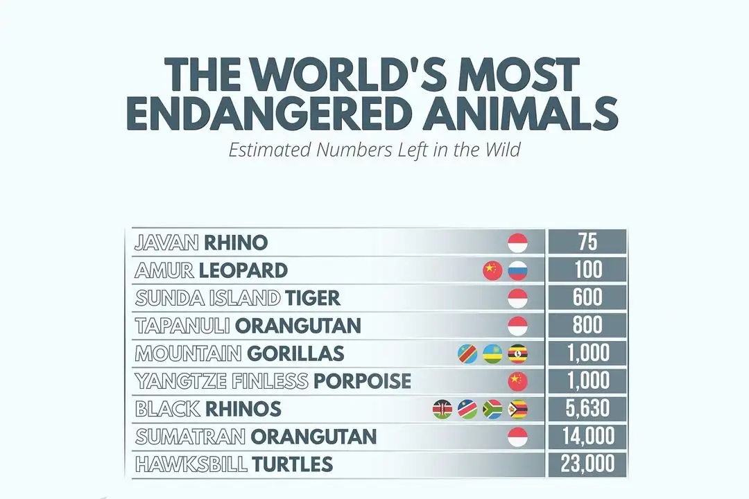 The most critically endangered animals on earth