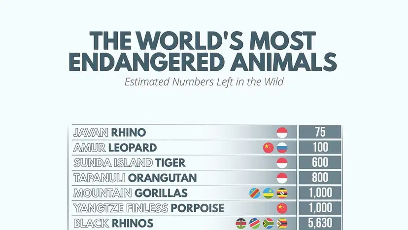 The most critically endangered animals on earth