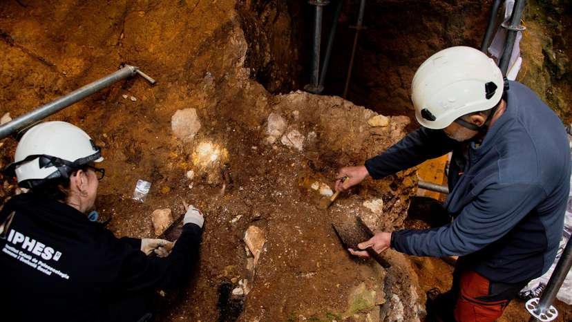 Archaelogists work on excavation at level TE7 of the Sima del Elefante site at Sierra de Atapuerca