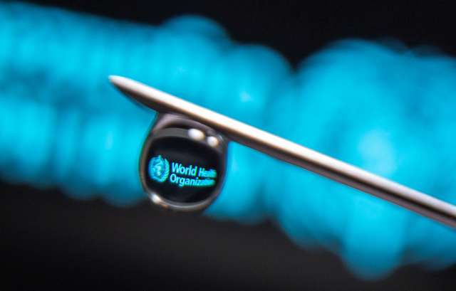 FILE PHOTO: World Health Organization logo is reflected in a drop on a syringe needle in this illustration photo