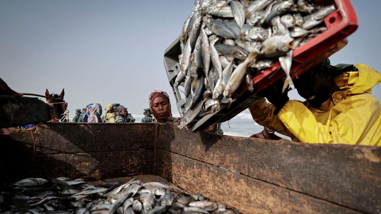 FILE PHOTO: A vendor waits to buy fresh fish in Fass Boye, Senegal