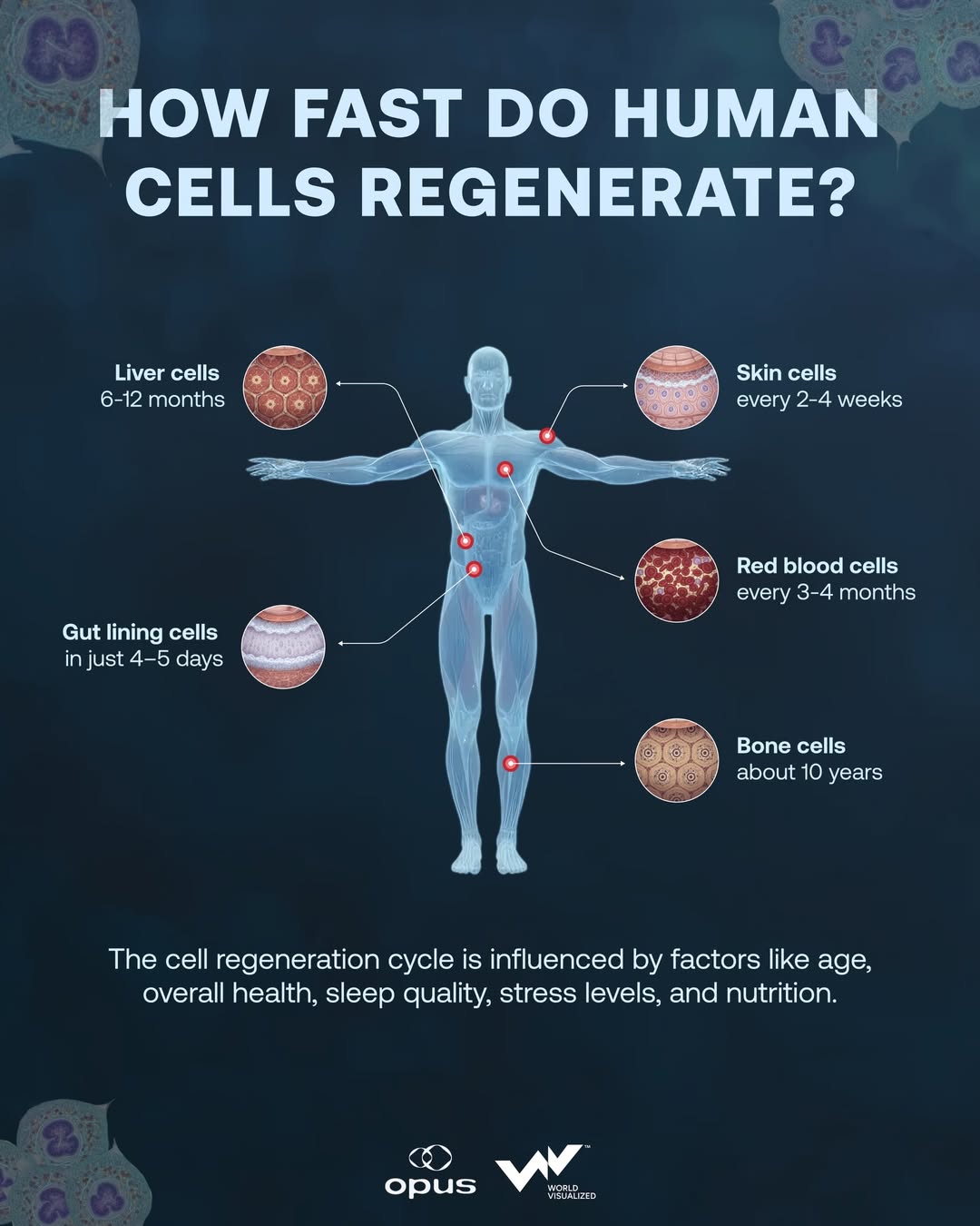 SnapInsta.to_613150325_17935774890119481_1851150409207375120_n
