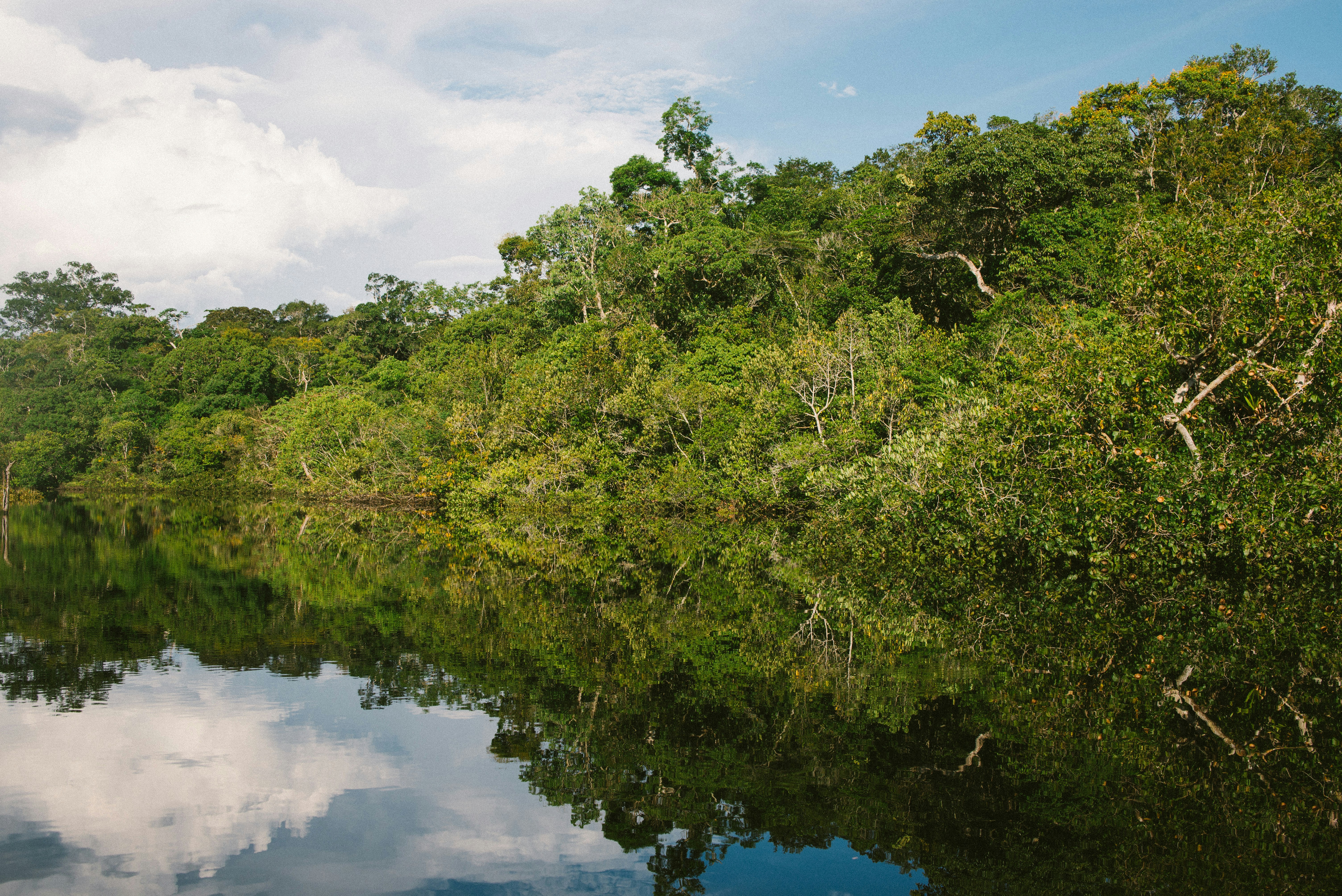 amazonia-desmatamento
