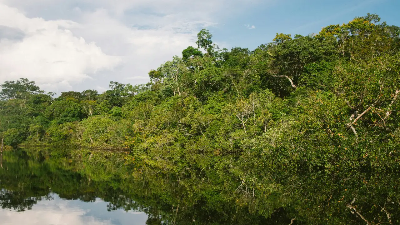 O desmatamento na Amazônia teve queda de 36,87% entre agosto de 2025 e julho de 2026.