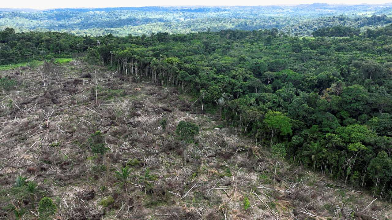 Drone footage shows deforestation in Brazilian Amazon