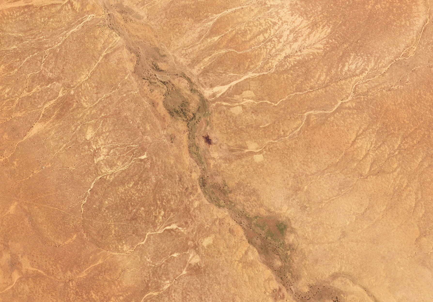A satellite image shows the area of a plane wreckage where the Rapid Support Forces (RSF) have shot down a Russian cargo plane, north of al-Fashir