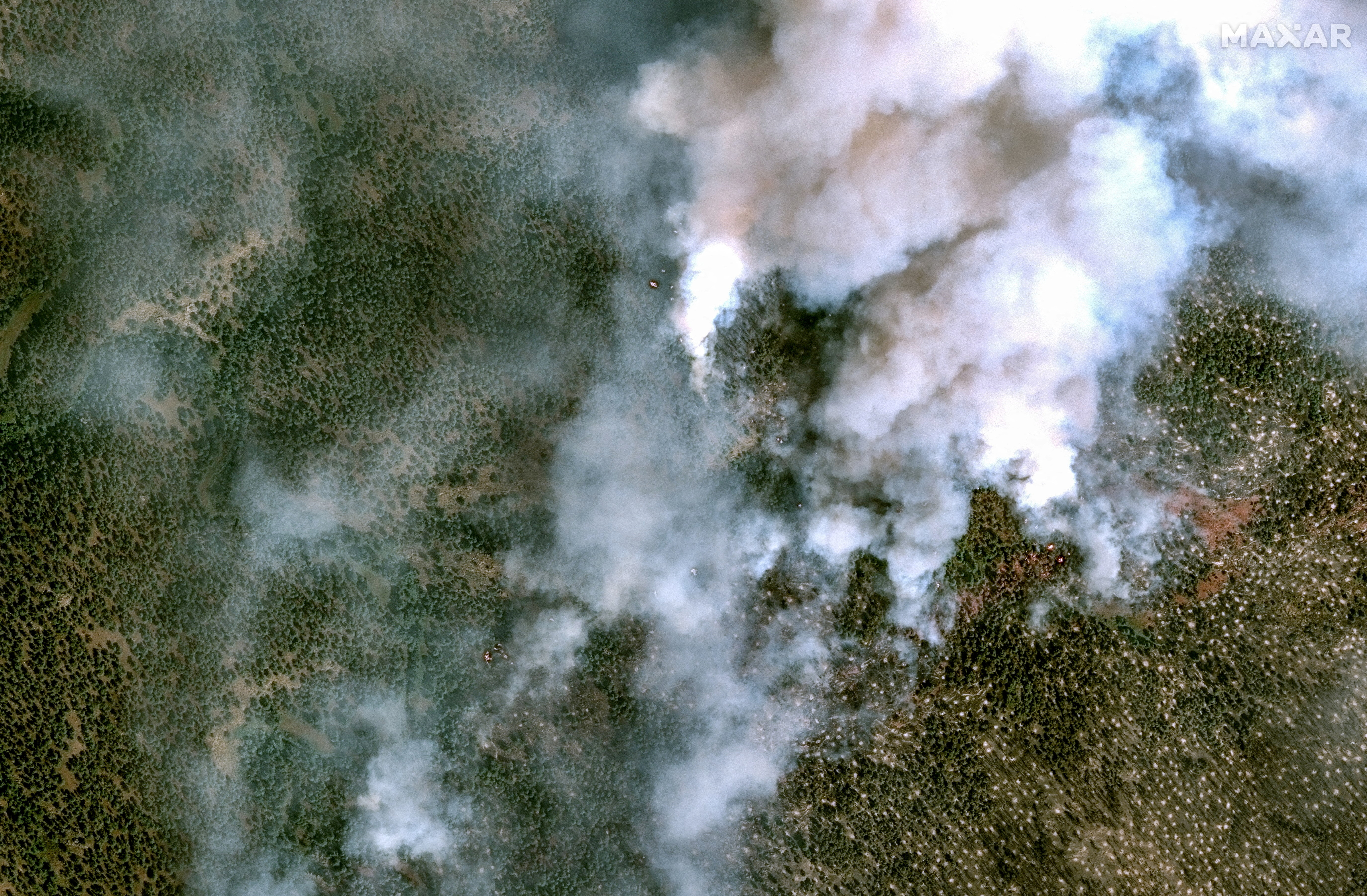 FILE PHOTO: A satellite image shows smoke rising from the Alexander Mountain wildfire in Colorado