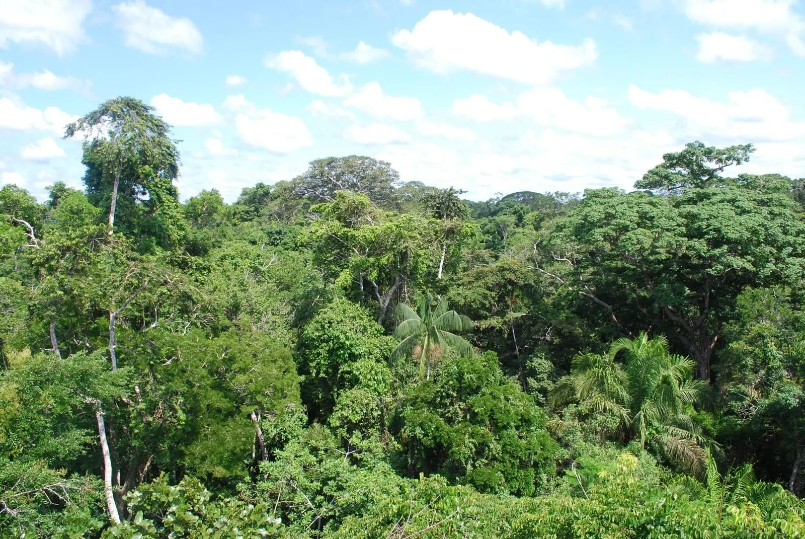 Guiana Francesa