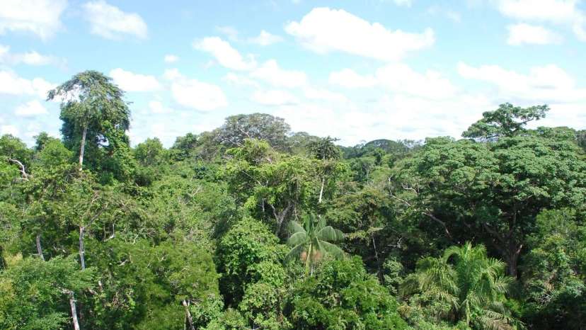 Guiana Francesa