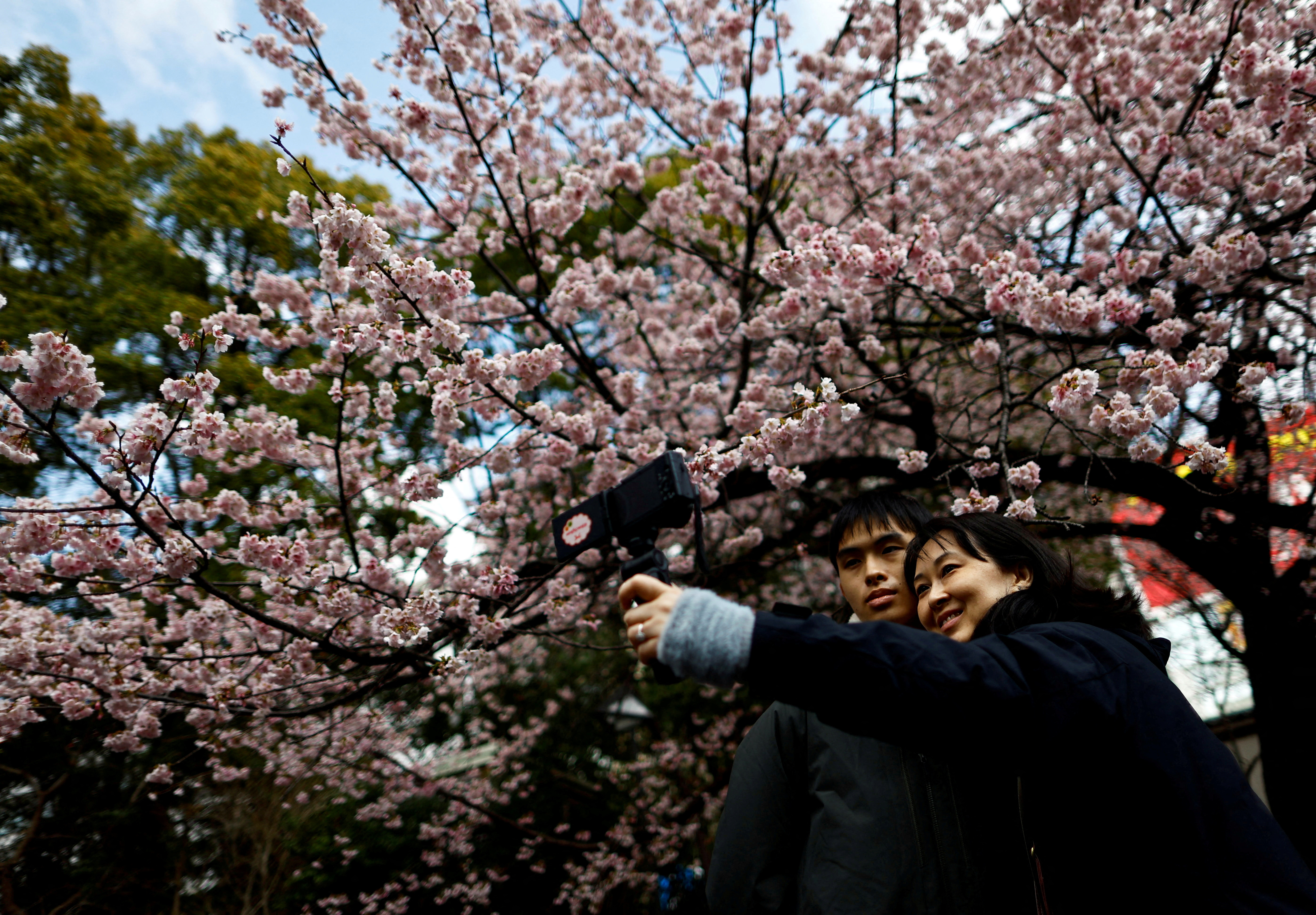 FILE PHOTO: Visitors take selfie-photos under an early-flowering Ookanzakura cherry blossoms in full bloom  in Tokyo