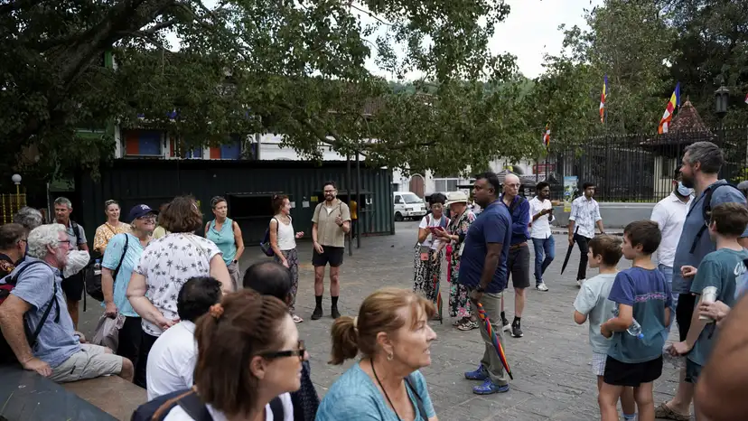 Winter blossoms transform China’s Wuliang Mountain into a sea of pink