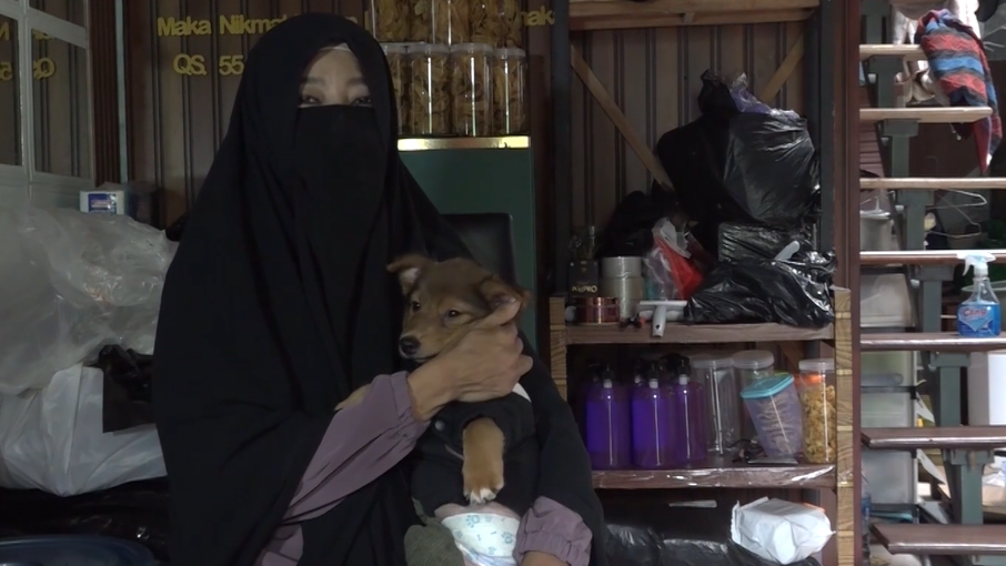 Indonesian woman devotes life to rescuing stray animals