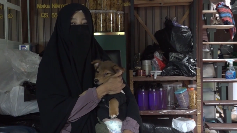 Indonesian woman devotes life to rescuing stray animals