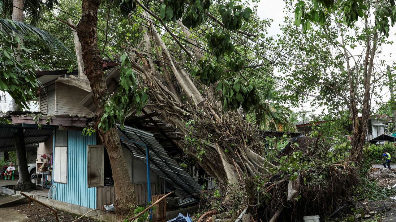 A fallen tree sits atop a house following heavy rain and strong winds on Friday, in Bangkok