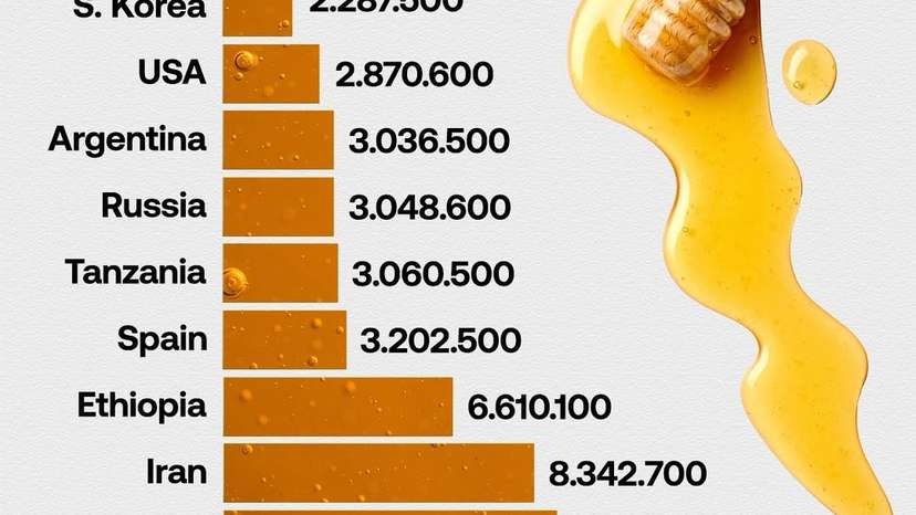 Valued at approximately $9.3 billion in 2023, the global honey industry is experiencing significant growth, driven by rising consumer demand for natural sweeteners and health-conscious products. The market is projected to reach $15.4 billio