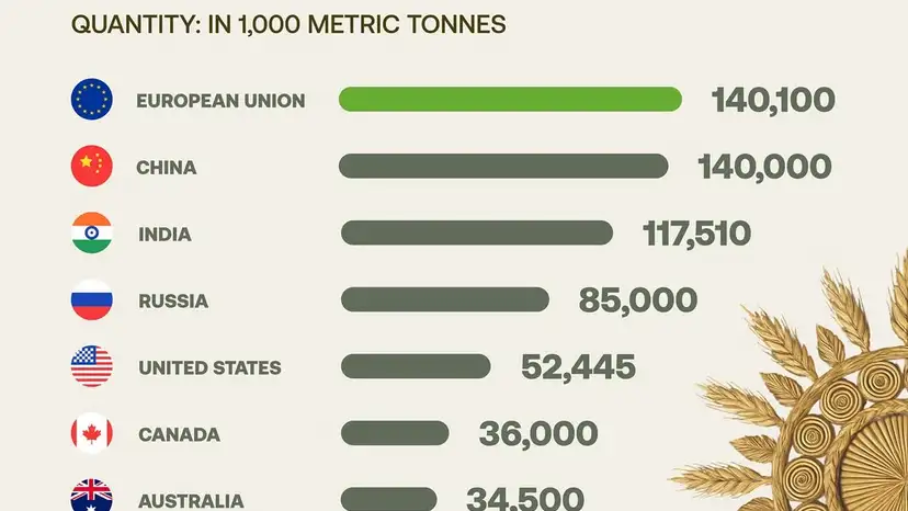 Global wheat production is expected to reach a record high this season, led by strong harvests i