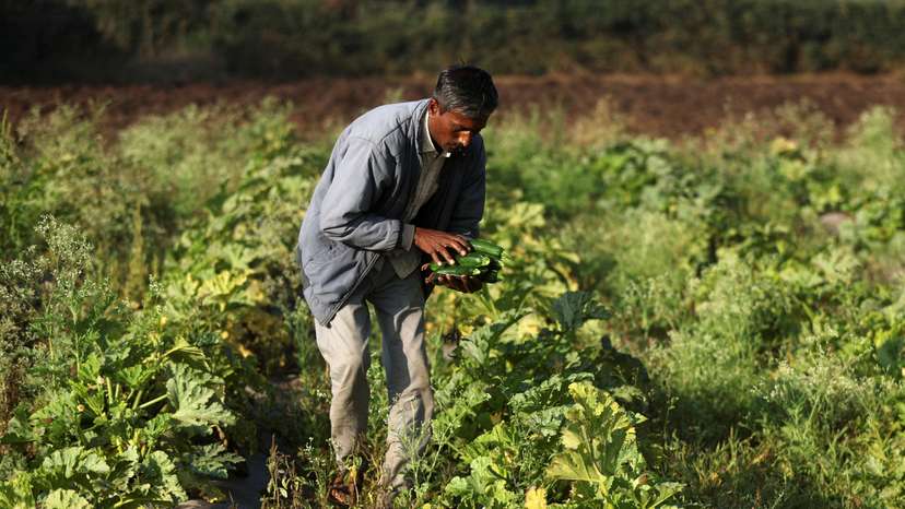 Ecuador rice farmers fear fallout from Colombia tariffs