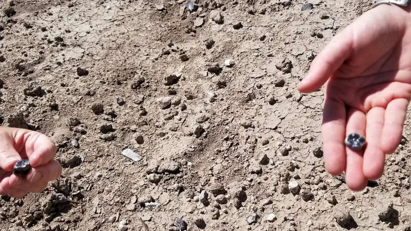 Ethiopian fossils reveal new species in human evolutionary lineage