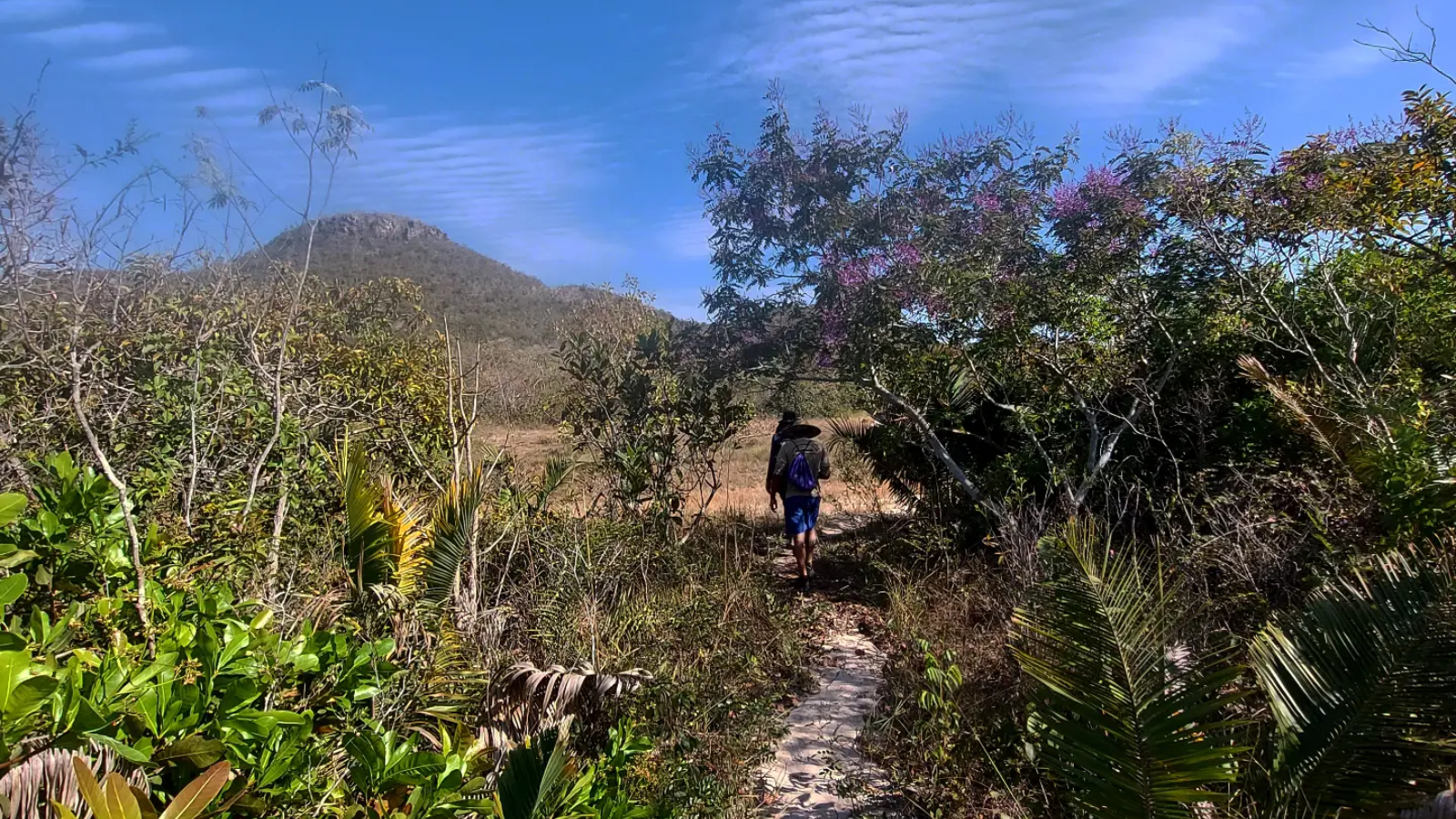 parque nacional grande sertao