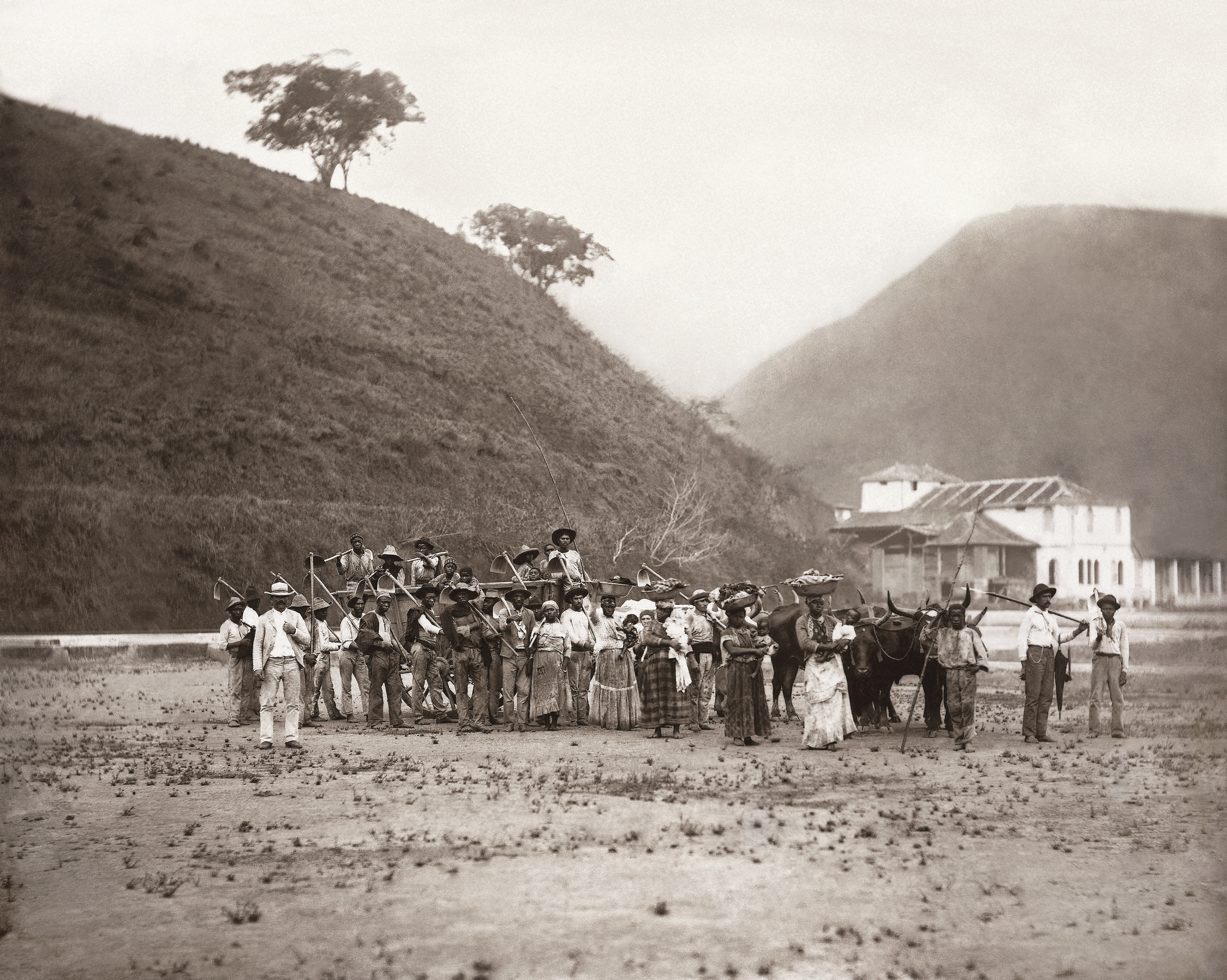 A fotografia "Partida para a Colheita do Café, Vale do Paraíba, c. 1882", de Marc Ferrez, está no livro.