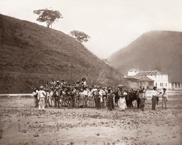 A fotografia "Partida para a Colheita do Café, Vale do Paraíba, c. 1882", de Marc Ferrez, está no livro.