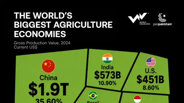 China leads the world in agricultural production value, ahead of India and US