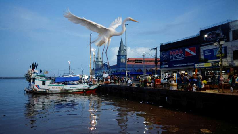 FILE PHOTO: A heron flies over the bustling Ver-o-Peso market, while anticipation grows for this year's COP30 Summit, in Belem