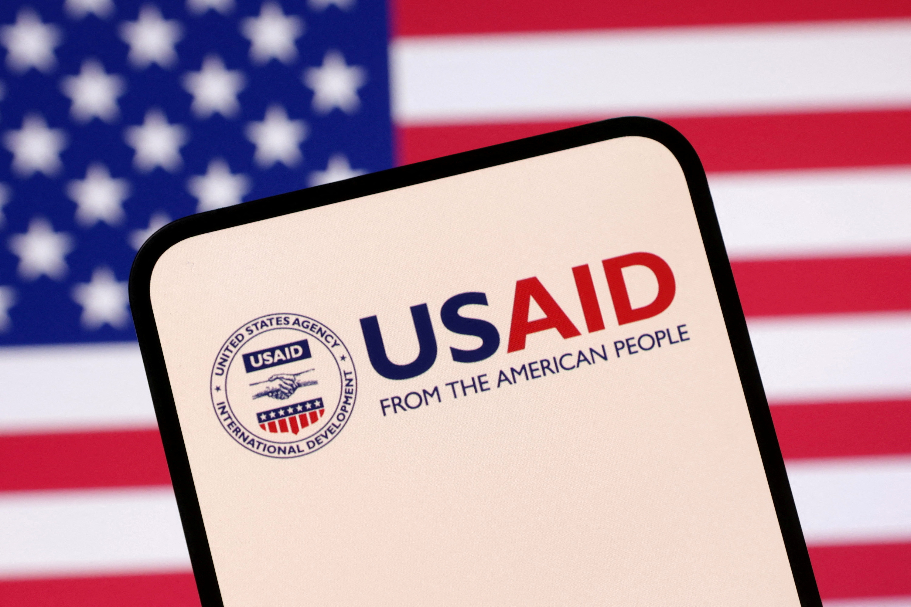 FILE PHOTO: Illustration shows USAID logo and U.S. flag