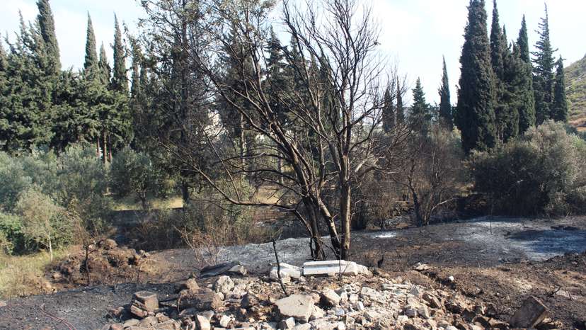 Aftermath of Israeli strike in Hama