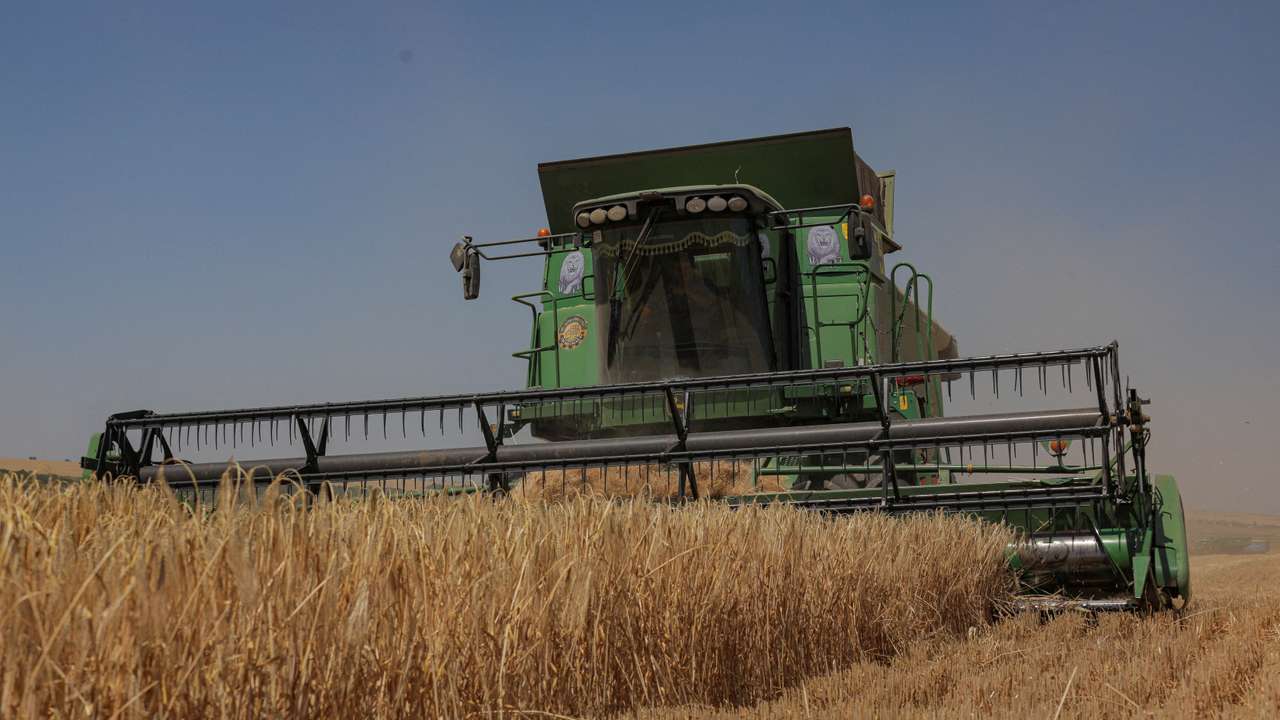FILE PHOTO: Barley harvest in Odesa region amid Russia's attack on Ukraine