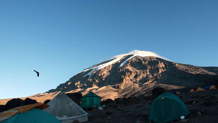 A raven flies over tents at Karanga Ridge on Tanzania's Mount Kilimanjaro