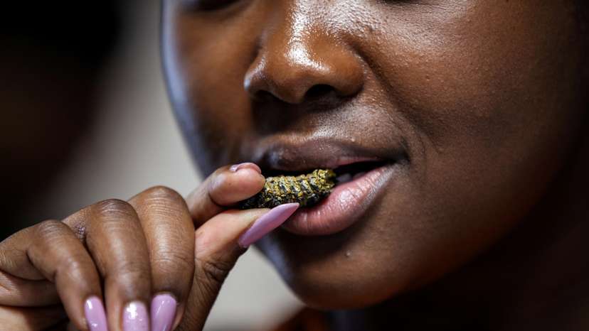 Customer Gosiame Makoe tastes a Mopane worm at the Insect Experience Restaurant in Cape Town