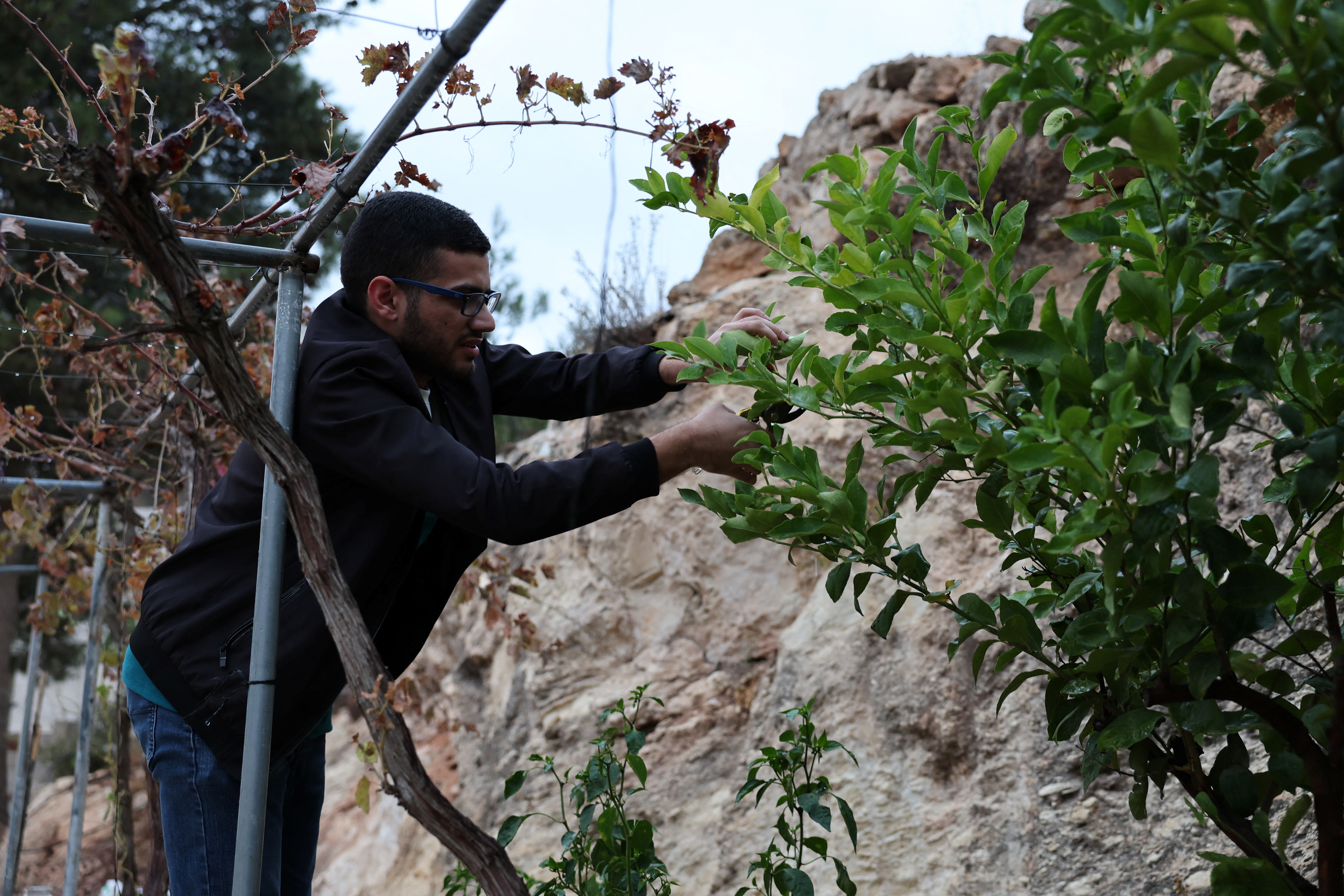 Palestinian detainees report beatings, degrading treatment by Israeli forces