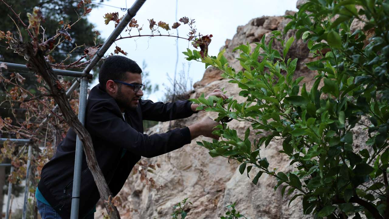 Palestinian detainees report beatings, degrading treatment by Israeli forces