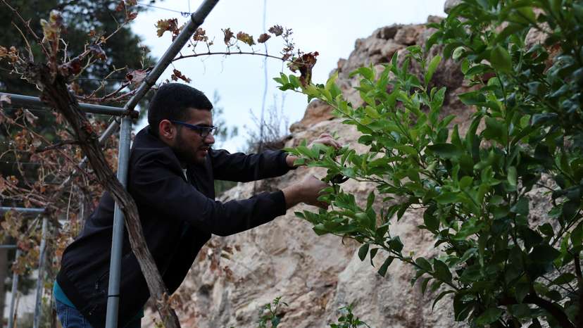 Palestinian detainees report beatings, degrading treatment by Israeli forces