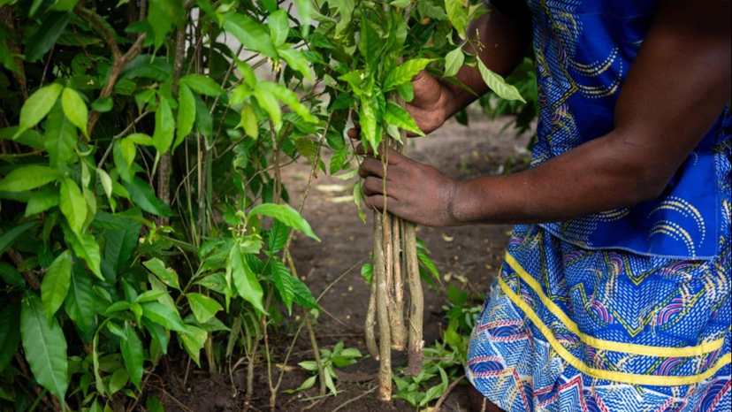 Screenshot 2025-05-11 at 13.04.30