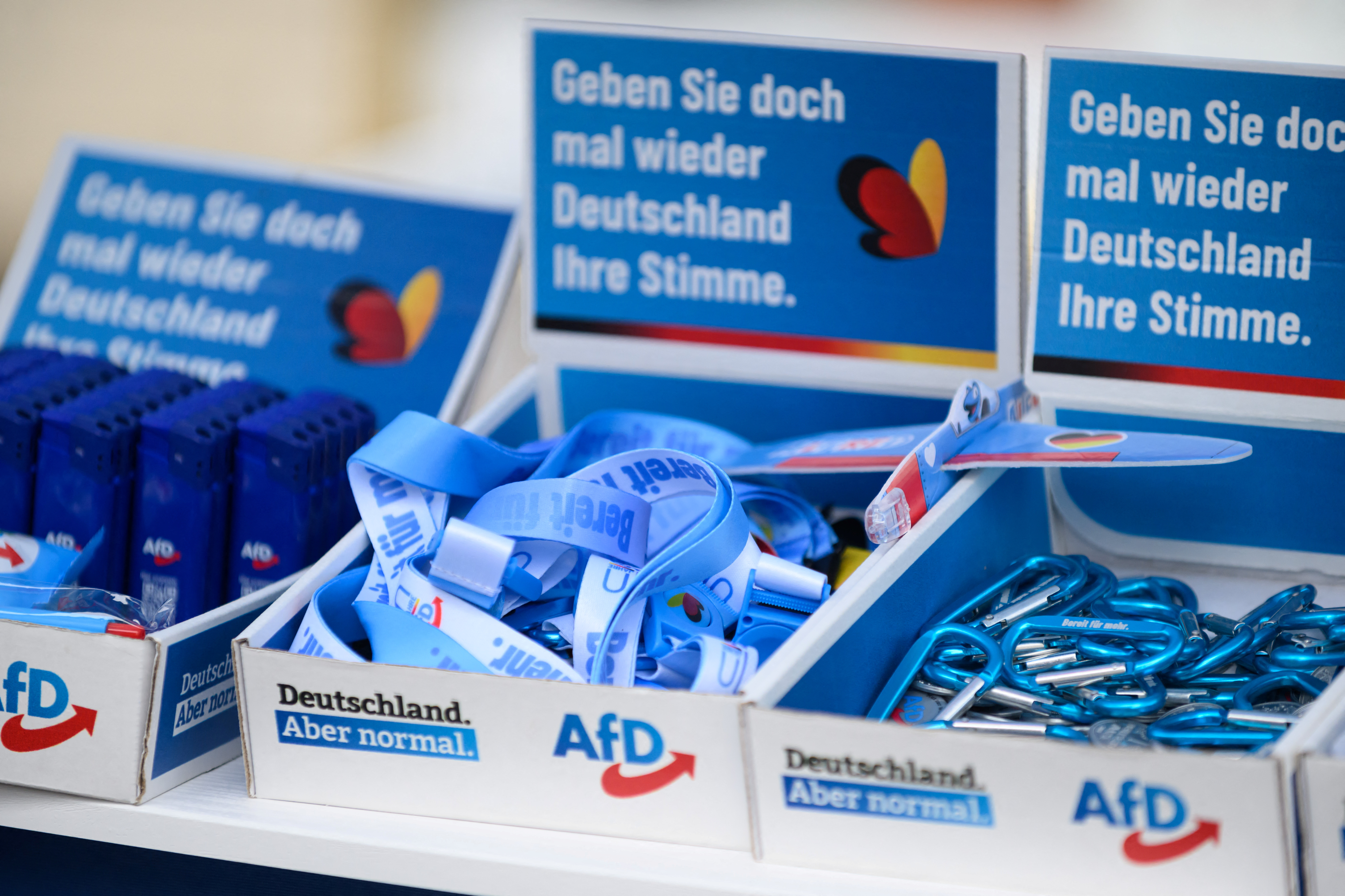 Alternative for Germany (AfD) party campaigns in Bergheim