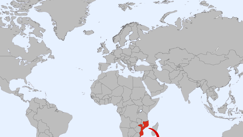 Why Mozambique remains the only country with an AK-47 on its flag