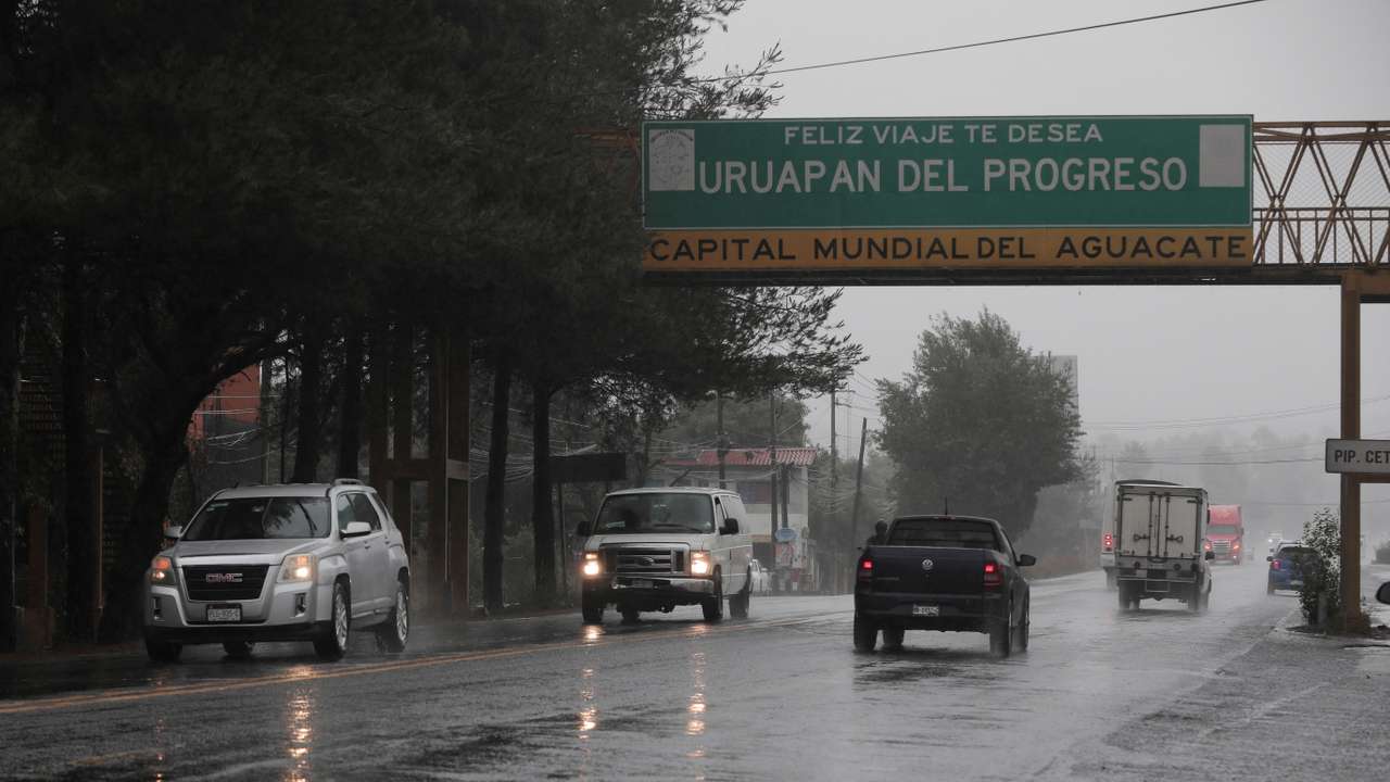 U.S. restarting avocado inspections in Mexico