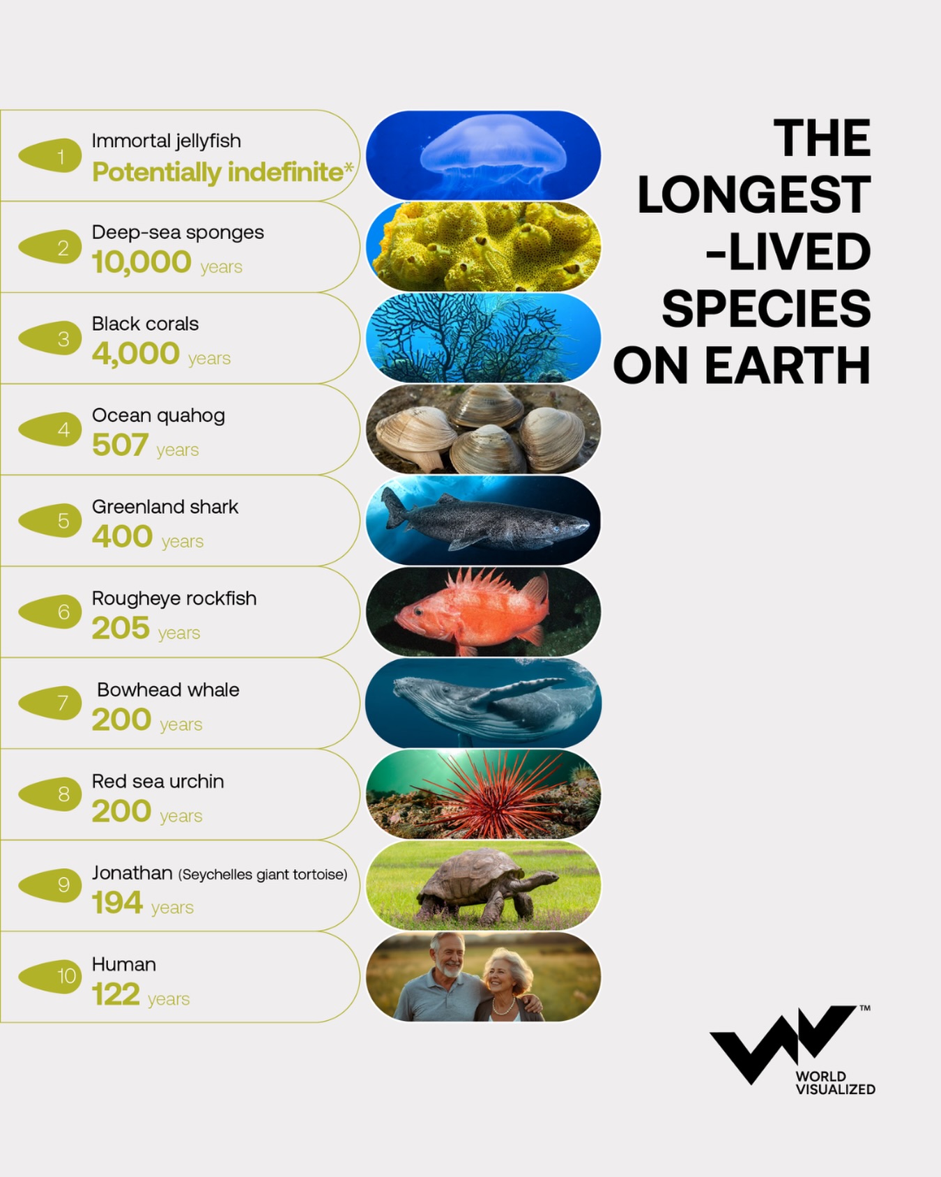 Some animals can live for centuries