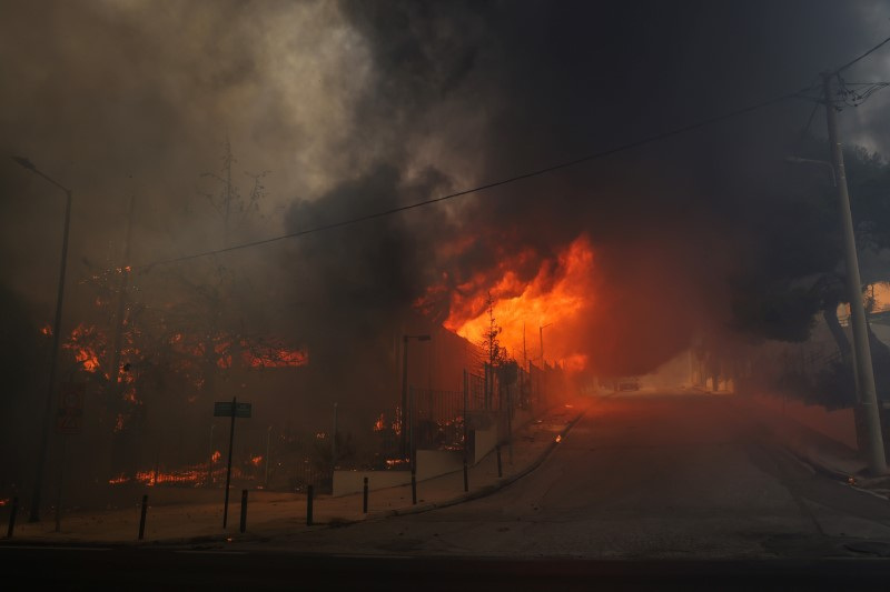 Wildfire burns in Nea Penteli, near Athens