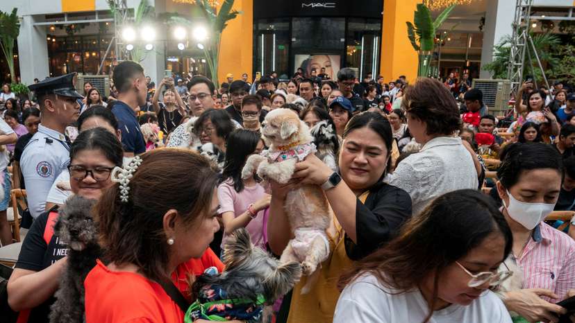 Pet blessing in Quezon City, Philippines