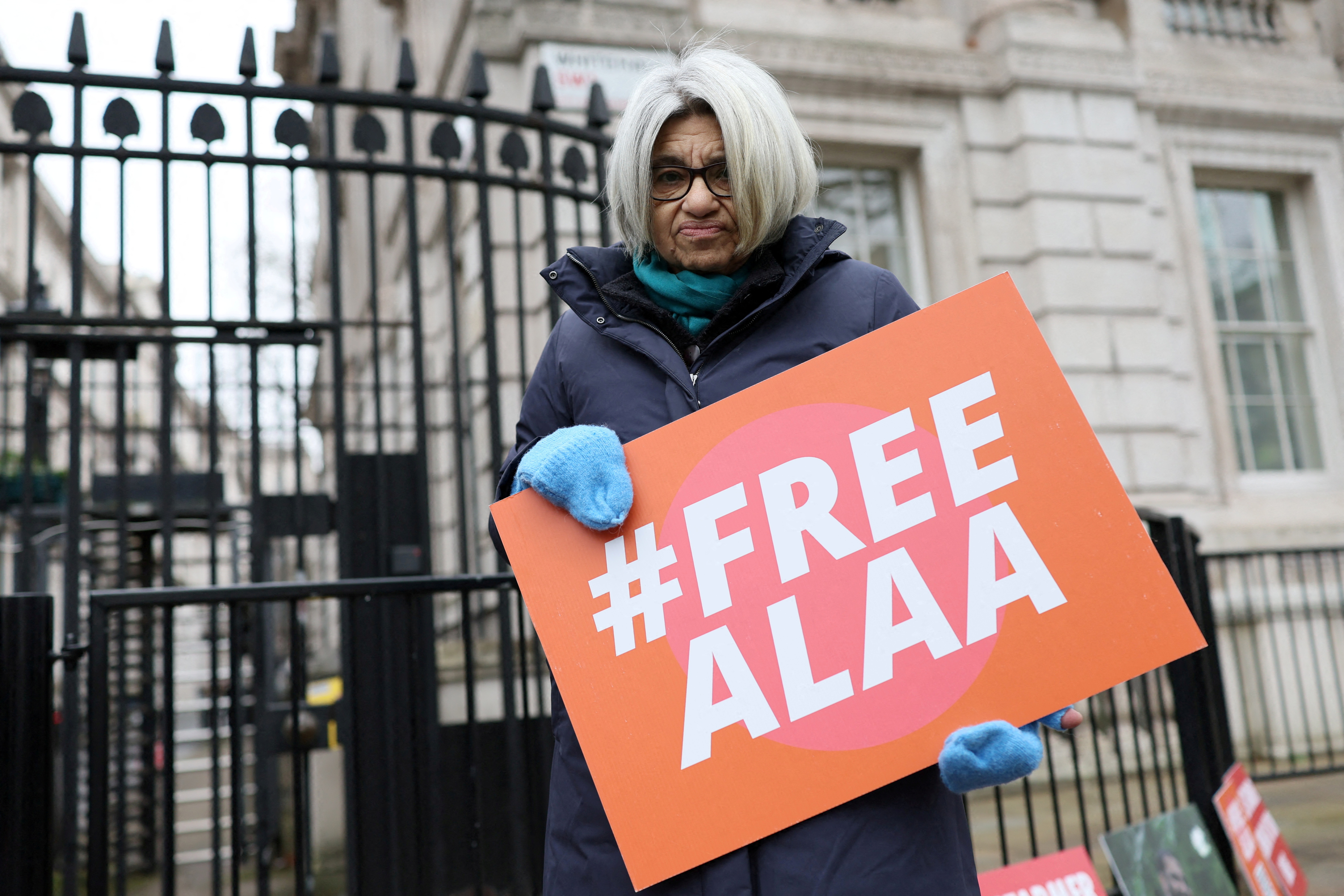 Hunger strike for Alaa Abd el-Fattah