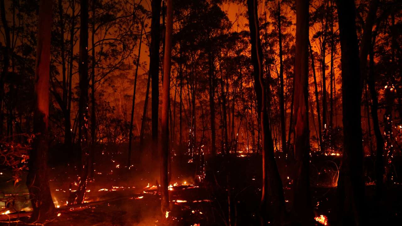 Wildfires in an area of Brasilia's National Forest