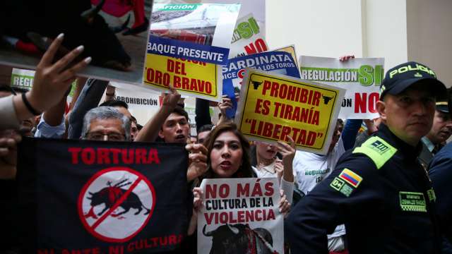 Activists protest against bullfighting during a debate at the Colombian congress in Bogota